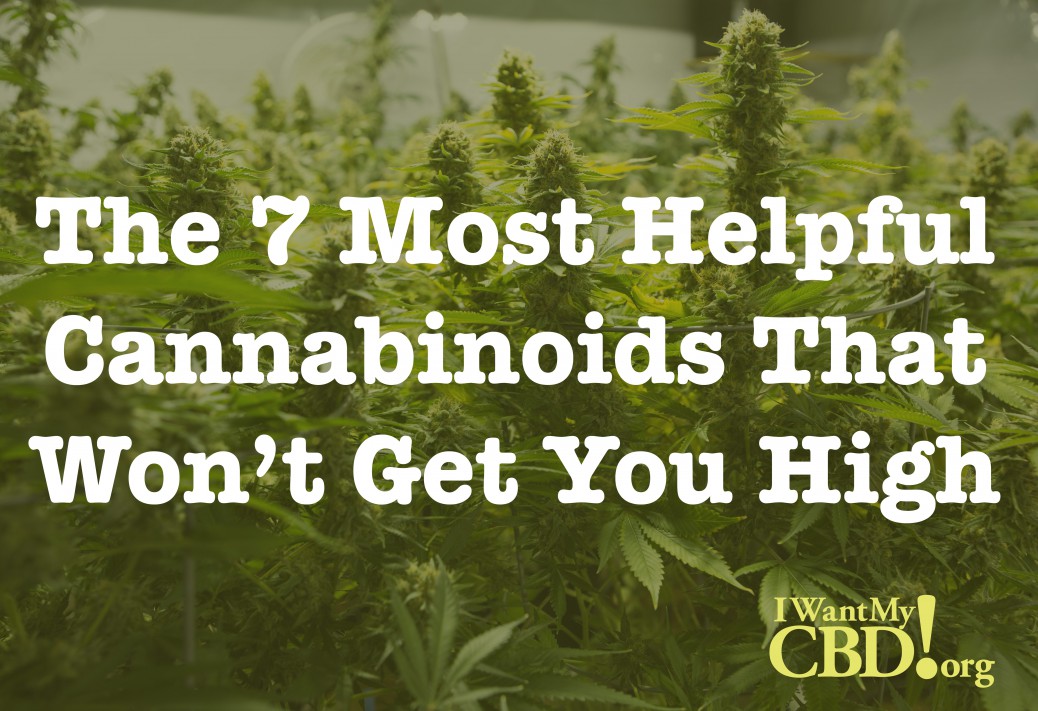 CBD Top 7 Non-psychotropic Cannabinoids