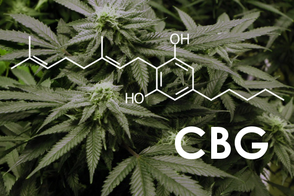 CBG Cannabinoid